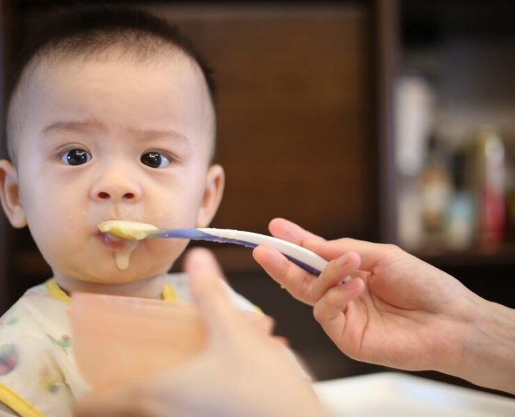Parent Journey and Perceptions of Infant Food